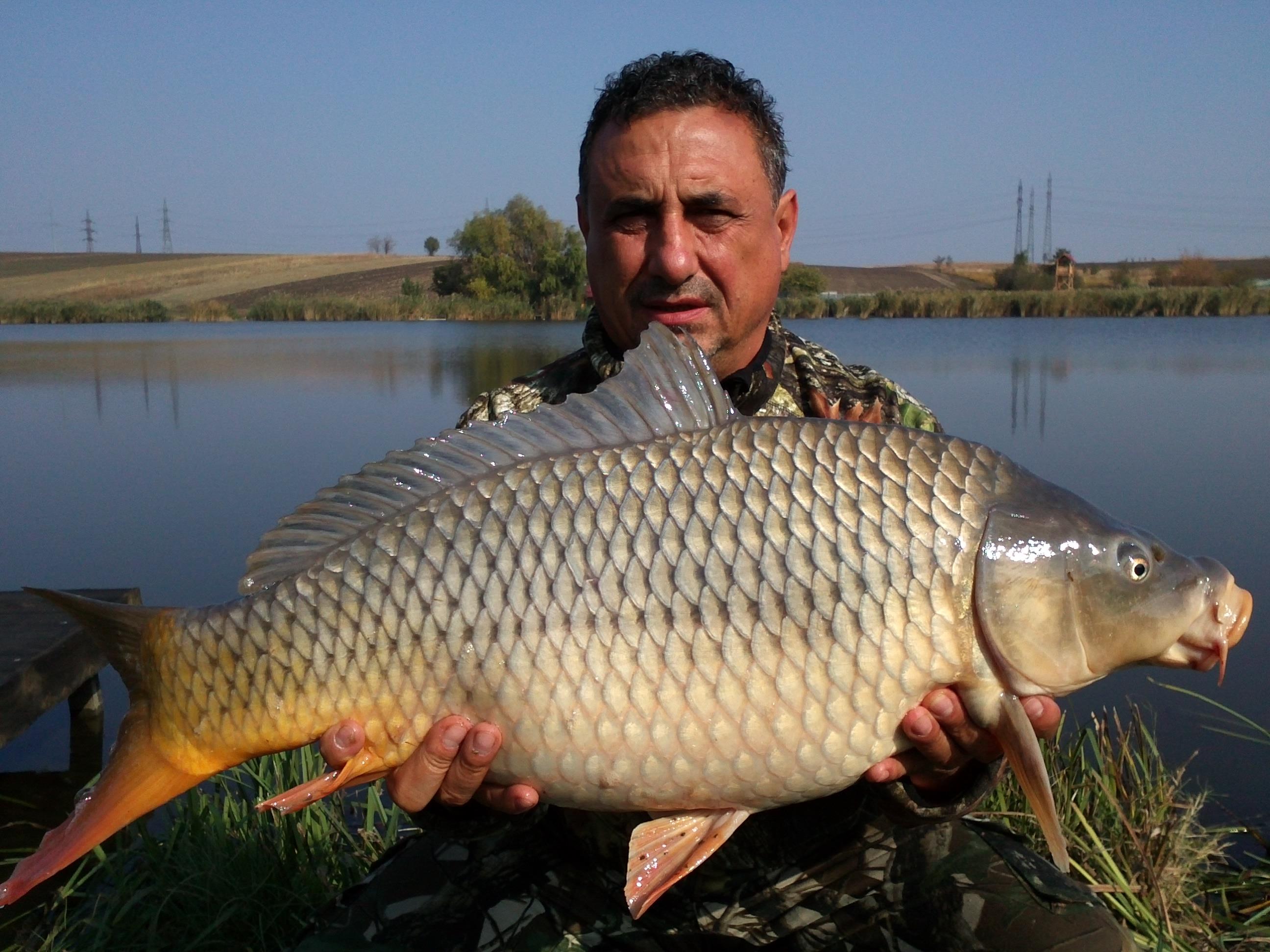 ceva pesti prinsi de mine - 409.jpg